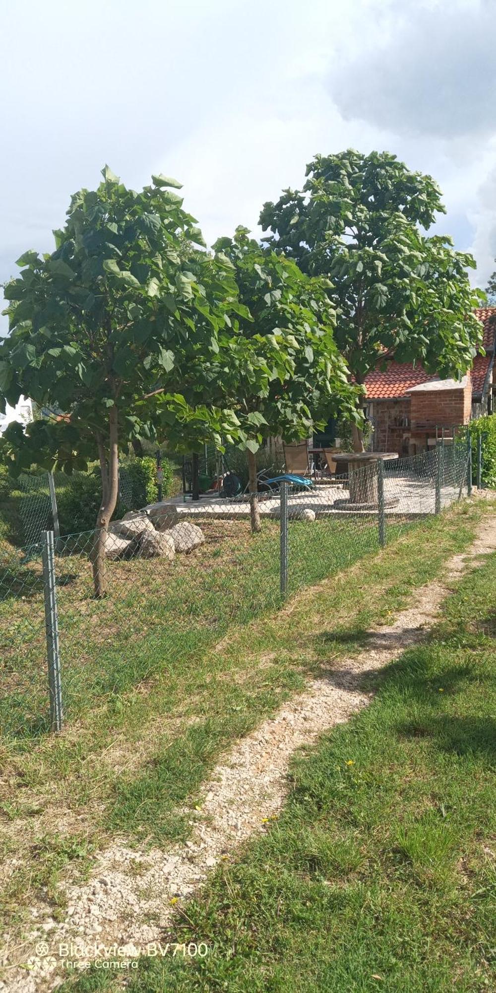 Stone House Vlasta Дрниш Экстерьер фото